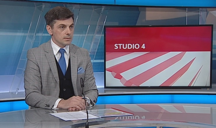 Damir Grubišić, ekonomski analitičar