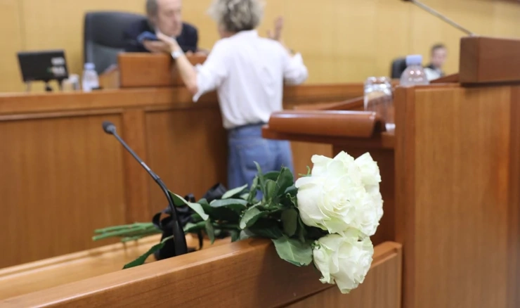 U Saboru cvijeće za žene žrtve nasilja