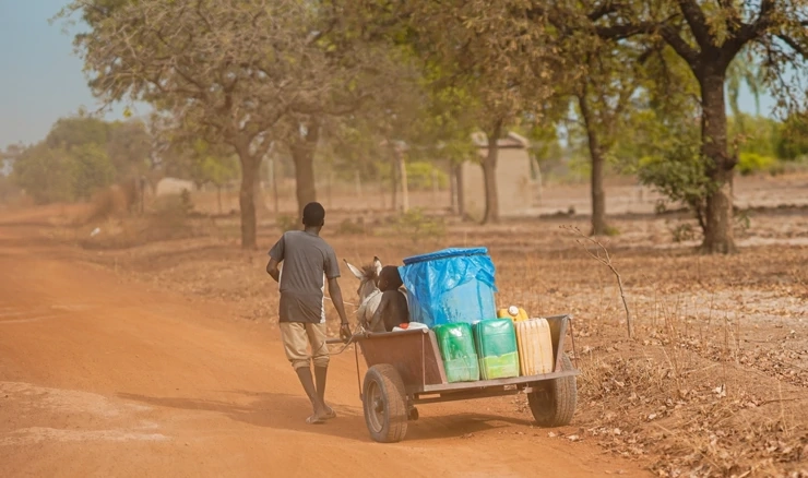 Prijevoz vode konjskom zapregom