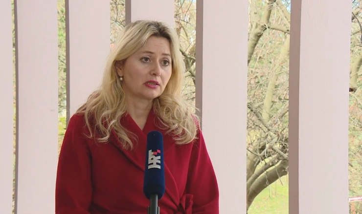 Ivana Pavić Šimetin