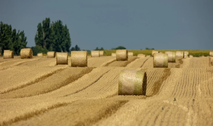 Vrijednost poljoprivredne proizvodnje u 2022. dosegnula 24,45 milijardi kn