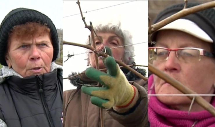 Umirovljenicima je 90 dana sezonskog rada - premalo  