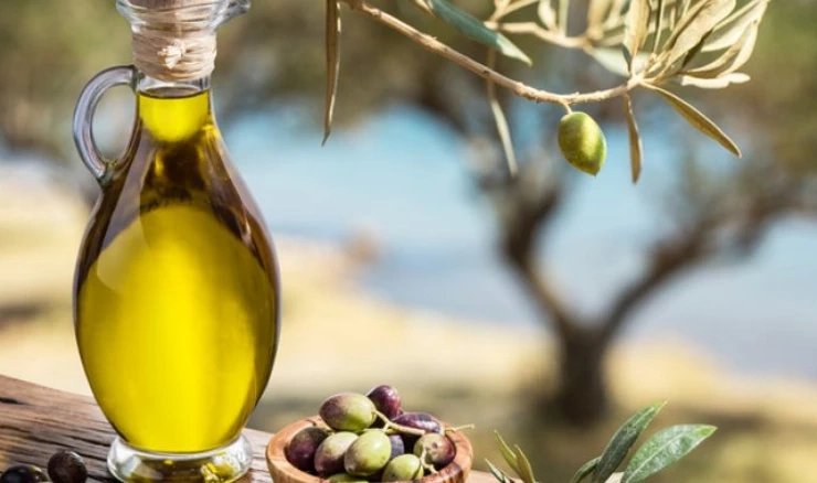 Hrvatska maslinova ulja najzdravija na Mediteranu