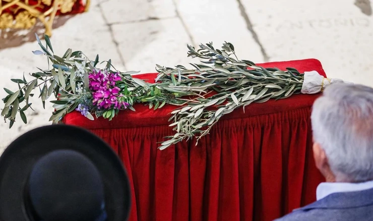 Cvjetnica, ilustracija