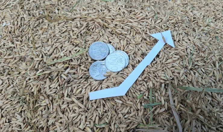 Žitarice poskupjele