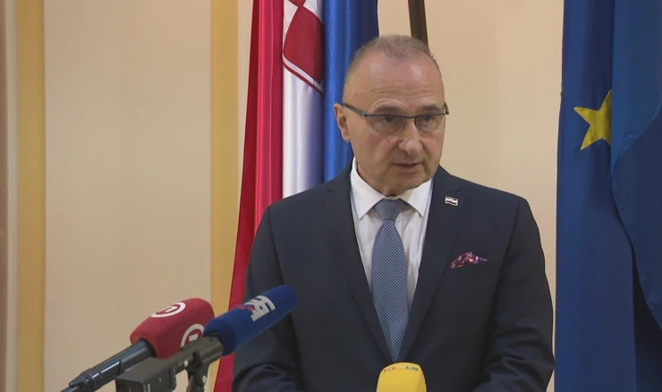 Goran Grlić Radman
