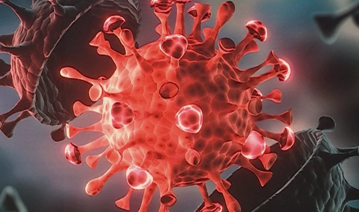 koronavirus