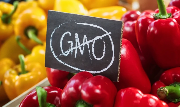 arhivska fotografija