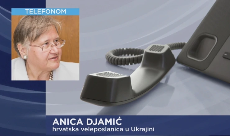 Veleposlanica Anica Djamić