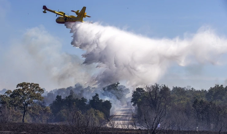 Požar na Ravči pod nadzorom, izgorjelo 4 hektara borove šume