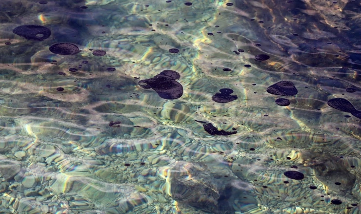 Onečišćenje mora kod Urinja