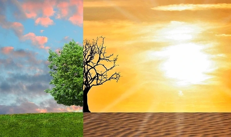 Klimatske promjene potpuno će preoblikovati život na Zemlji 
