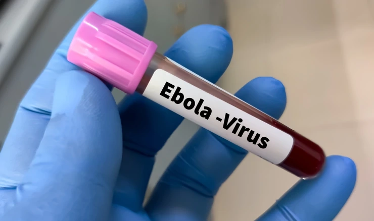 Virus ebole