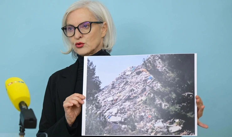 Zastupnica Dušica Radojčić