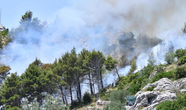 Požar na Velikom brdu