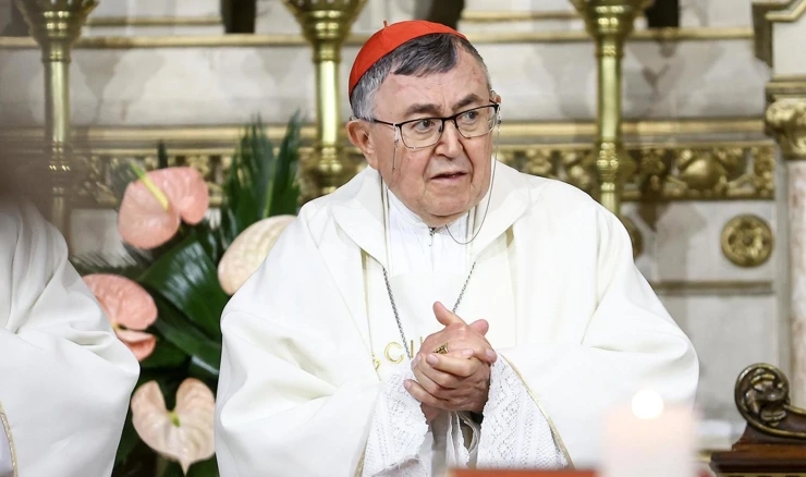 Vinko Puljić