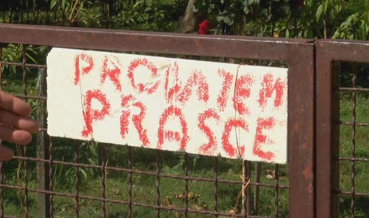Zabrinutost zbog afričke svinjske kuge