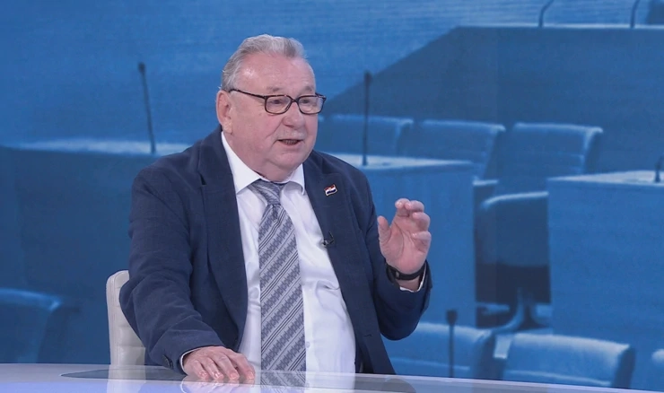 Vladimir Šeks