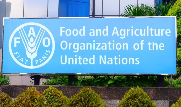 Organizacija za hranu i poljoprivredu UN-a