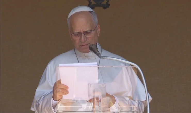 Papa Lav XIV.
