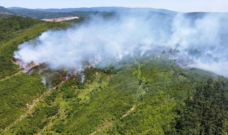 Požar na području Rajića 