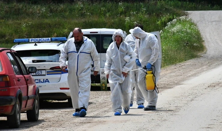 Dosad eutanazirano skoro 20.000 svinja