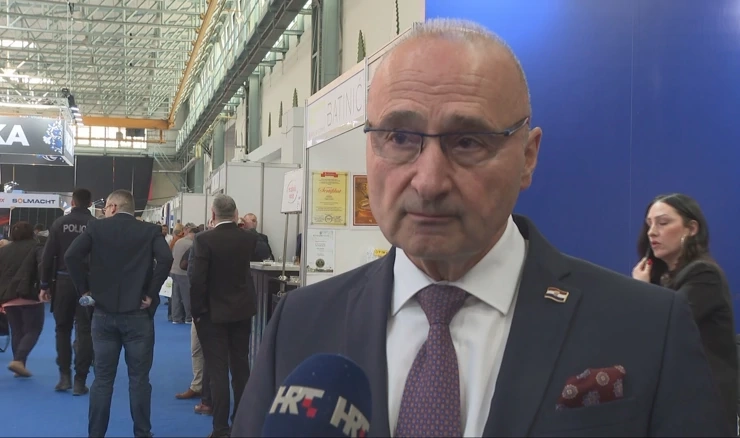 Gordan Grlić Radman