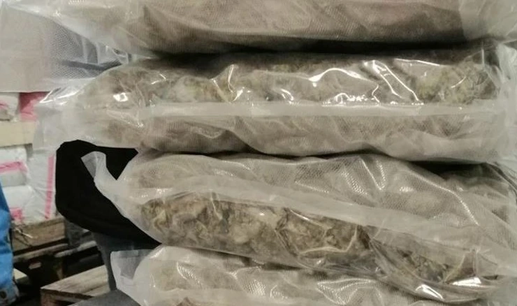  Spriječen šverc 105 kilograma marihuane u luci Ploče