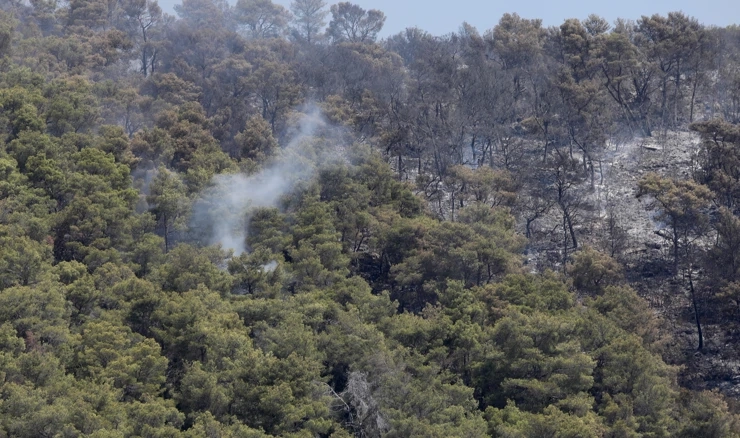 Na Hvaru gori borovina i makija