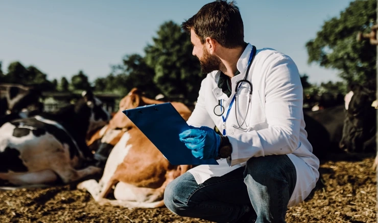 Veterinar