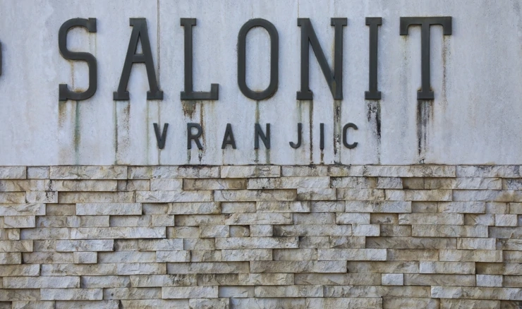 Salonit