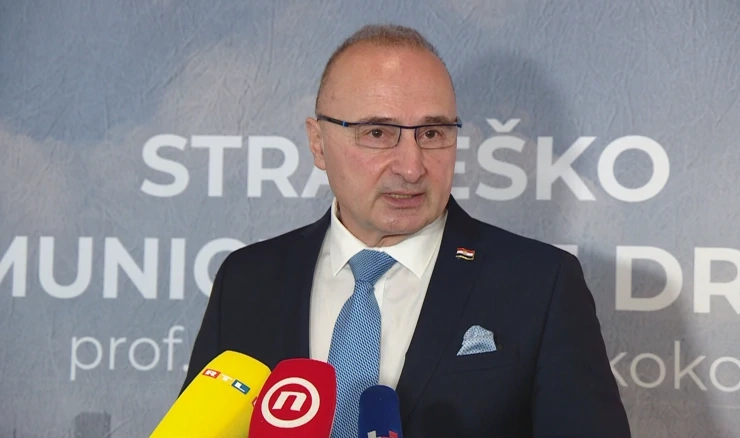Gordan Grlić Radman