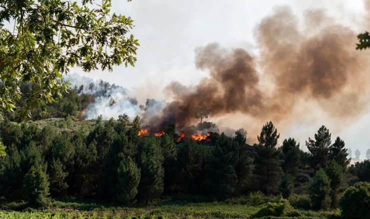 Portugal traži podršku EU-a, Španjolske i Maroka u slučaju širenja požara