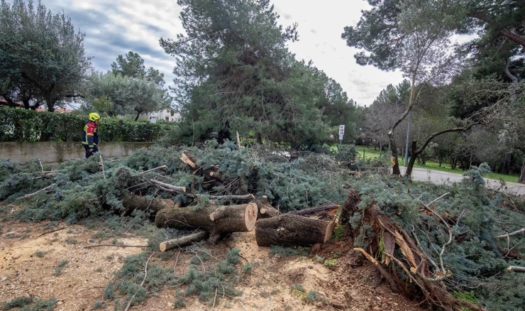 Posljedice jakog nevremena koje je poharalo Rovinj