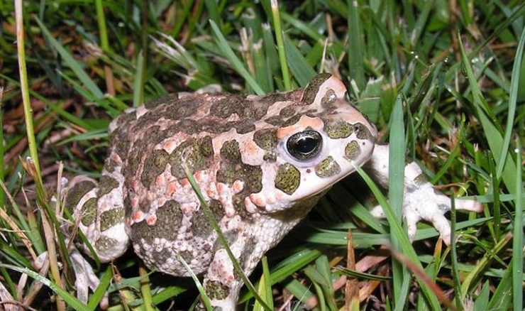 Počinje utrka za prirodu 