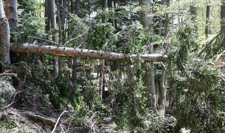 Na Sljemenu i dalje vidljive posljedice nevremena