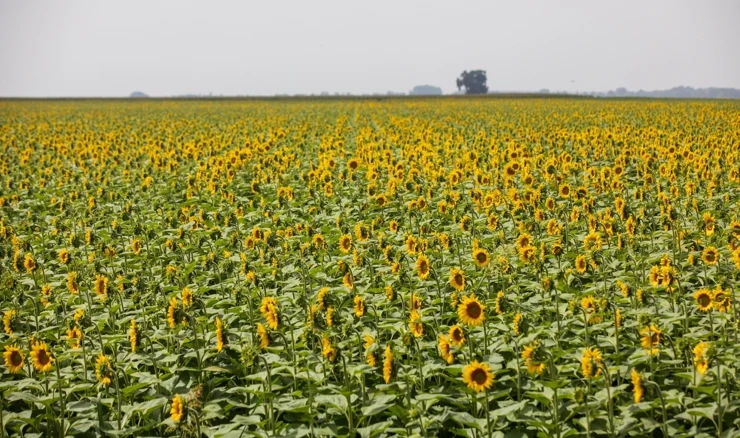 EK predlaže administrativno rasterećenje poljoprivrednika 