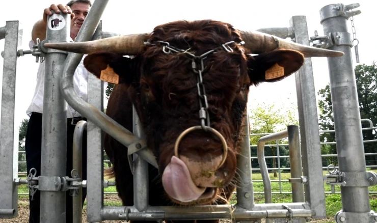 Salers park u Staroj Kapeli