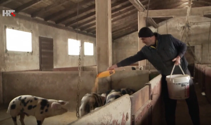 Obnova stočarstva nakon potresa