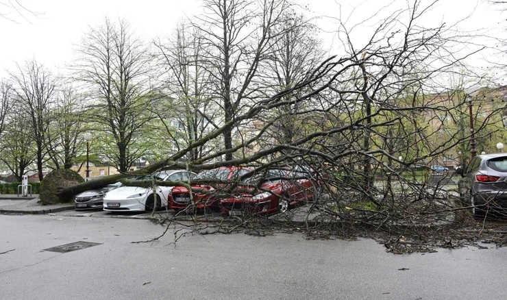 Zagreb zbraja štetu nakon nevremena