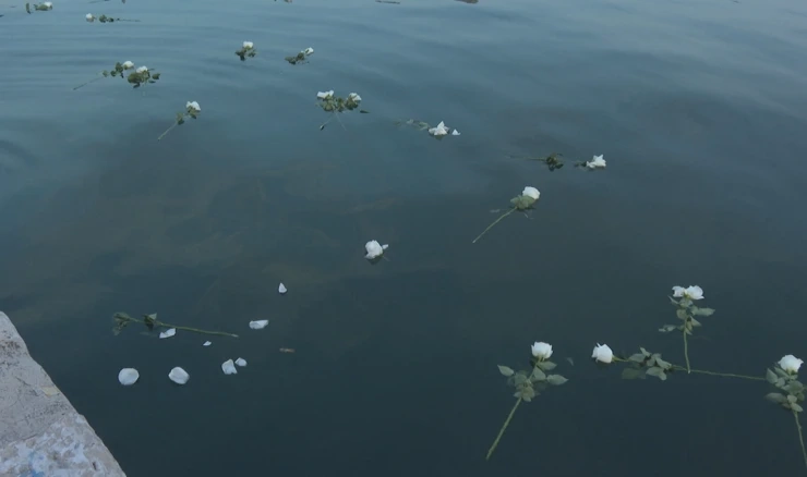 U povodu 29. godišnjice genocida u Srebrenici u more bačeno 29 ruža