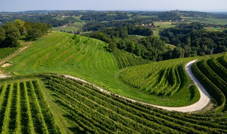 Međimurje