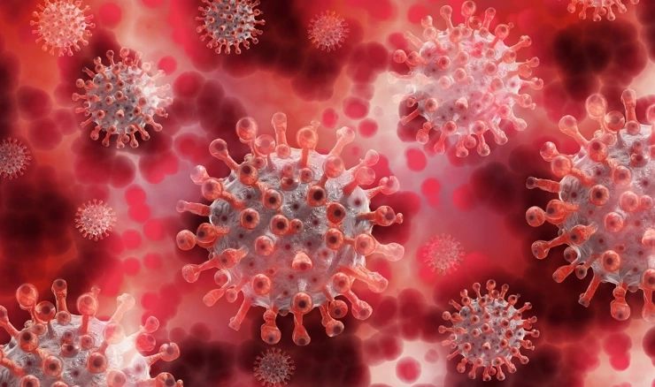 Coronavirus