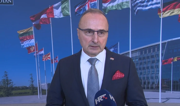 Gordan Grlić Radman, ministar vanjskih poslova