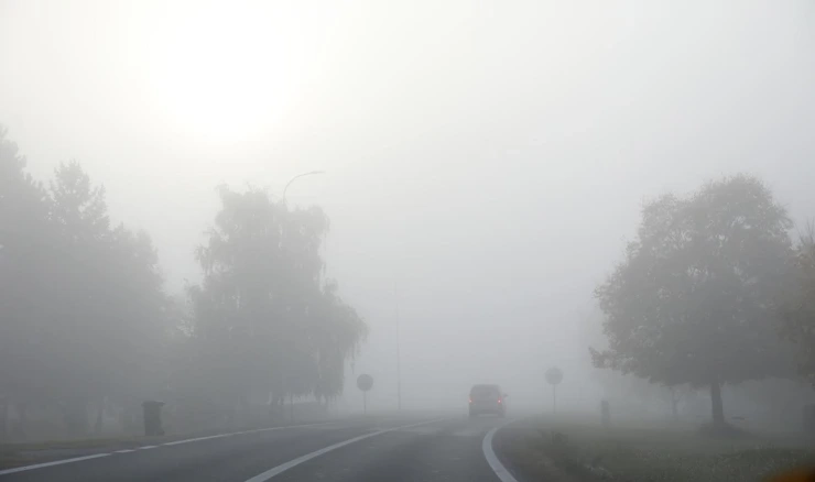 Magla u Vukovaru
