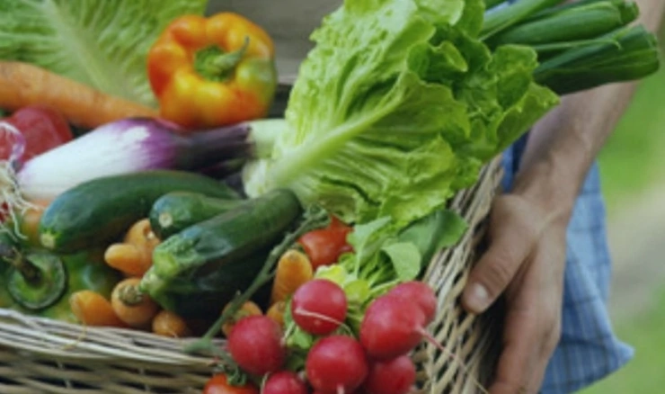 Proizvođačke cijene poljoprivrednih proizvoda porasle za 5,9 posto