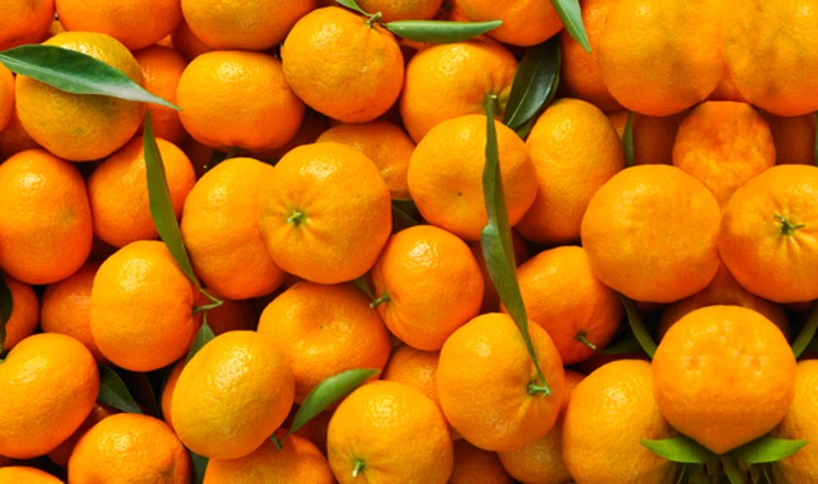 Mandarine