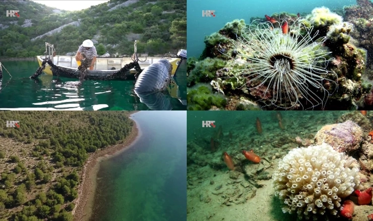 Jedinstveni ekosustav jezera