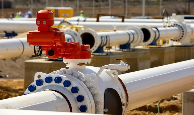 Plinska interkonekcija