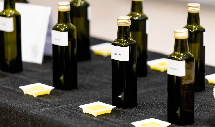 Hrvatska na 53 posto samodostatnosti u maslinovom ulju